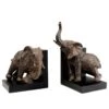 Serre-livres Elephants (2 éléments) -Komar Boutique 1000277548 210707 09482300153 IMAGE P000000001000277548