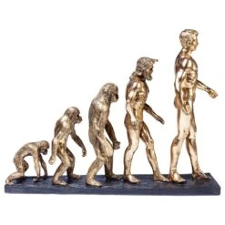Statuette Evolution 16 Statuette Evolution -Komar Boutique 1000277577 210707 09514800352 DETAILS P000000001000277577
