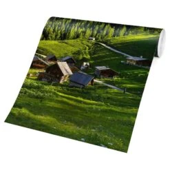 Papier Peint Intissé Pré Alpin 12 Papier Peint Intissé Pré Alpin -Komar Boutique 1000293475 210920 07583700125 DETAILS P000000001000293475