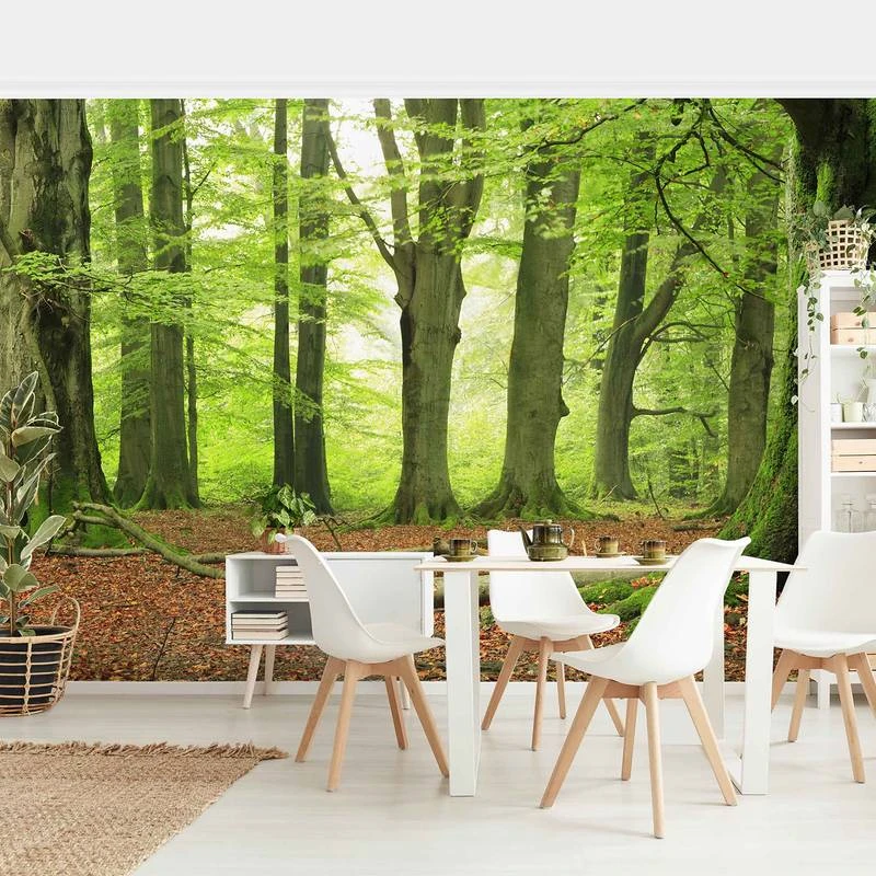 Papier Peint Intissé Mighty Beech Trees 5 Papier Peint Intissé Mighty Beech Trees – Image 3