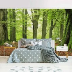 Papier Peint Intissé Mighty Beech Trees 11 Papier Peint Intissé Mighty Beech Trees -Komar Boutique 1000293574 210920 07590500718 MOOD DETAILS P000000001000293574 mood