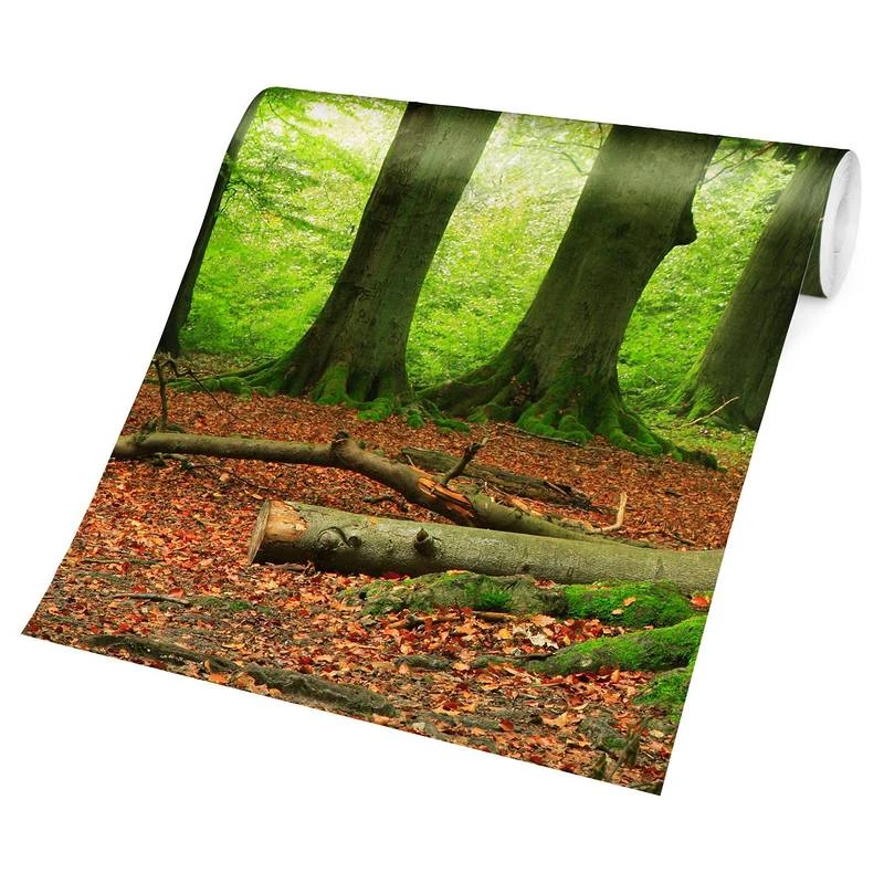 Papier Peint Intissé Mighty Beech Trees 7 Papier Peint Intissé Mighty Beech Trees – Image 5