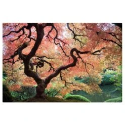 Impression Sur Toile Jardin Japonais I -Komar Boutique 1000297247 211015 10471200041 DETAILS P000000001000297247