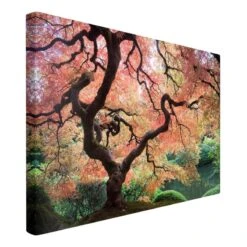Impression Sur Toile Jardin Japonais I -Komar Boutique 1000297247 211015 10471200057 DETAILS P000000001000297247
