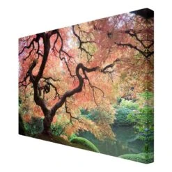 Impression Sur Toile Jardin Japonais I