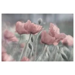 Impression Sur Toile Pavots Peint III -Komar Boutique 1000297303 211015 10473900417 DETAILS P000000001000297303