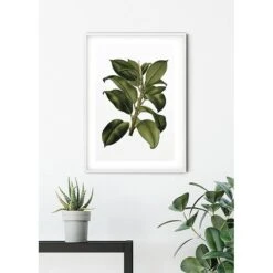 Komar Tableau Déco Elastica Tree -Komar Boutique 1000297709 211005 11155600332 MOOD DETAILS P000000001000297709 mood