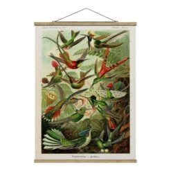 Tableau Déco Vintage Planche Colibri