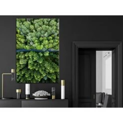 Tableau Déco Road Through Forest -Komar Boutique 1000312651 211209 11495700062 MOOD DETAILS P000000001000312651 mood