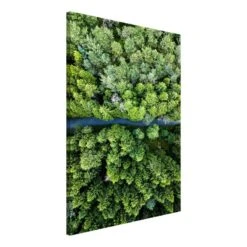 Tableau Déco Road Through Forest -Komar Boutique 1000312651 211209 11495800073 DETAILS P000000001000312651