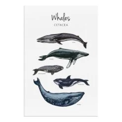 Tableau Déco Whales