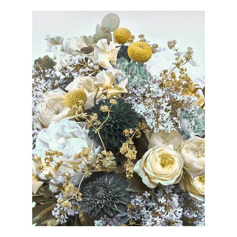 Komar Papier Peint Intissé Gentle Bloom 3 Komar Papier Peint Intissé Gentle Bloom