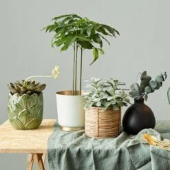 Vase MIO -Komar Boutique 1000337859 220225 021 MOOD DETAILS P000000001000337859 mood