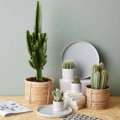 Pot De Fleur EARLY SPRING II -Komar Boutique 1000341413 220317 021 MOOD DETAILS P000000001000341413 mood