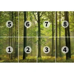 A.S. Creation Papier Peint Autumn Forest I -Komar Boutique 1000357435 220804 030 DETAILS P000000001000357435