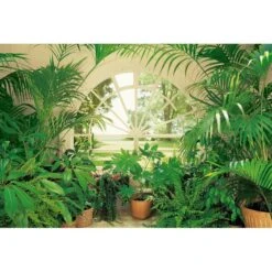 A.S. Creation Papier Peint Jardin D’hiver