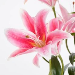 Plante Artificielle Tigerlilien 14 Plante Artificielle Tigerlilien -Komar Boutique 12077cfbf6ec4fcc8008c855ca43eff1