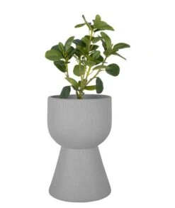 PRESENT TIME Pot De Fleurs Tam Tam 9 PRESENT TIME Pot De Fleurs Tam Tam -Komar Boutique 1434bf1e86a44007bee000b0aeb28a62.cropped 429 140 985 1169.processed