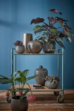 Bol à Plantes Gabriel -Komar Boutique 1914489c60544cfaa656f757074e05cf 2