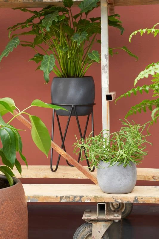 Porte-plante 4 Porte-plante – Image 2