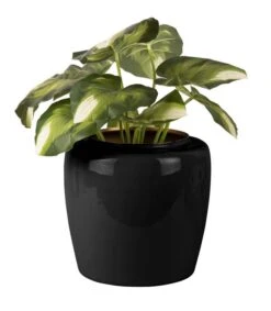 PRESENT TIME Pot De Fleurs Grand -Komar Boutique 1cd53cbf0f78495ba9ce54711ea0f016.cropped 365 149 1062 1217.processed