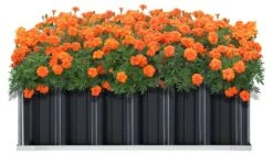 Jardinière Zevenaar Rectangulaire -Komar Boutique 27bd4644178a49fa8c8a99d17824e2df.cropped 54 457 1898 1081.processed