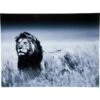 Tableau Déco Lion King Standing -Komar Boutique 282cf28128af4bf589b0be00530d8e25