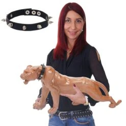 Figure De Déco Léopard Avec Collier -Komar Boutique 29adc3a3a8a842ea96a6059d82ff877f