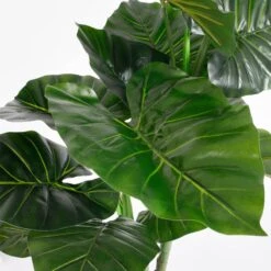 Plante Artificielle Taro -Komar Boutique 2a537e8897044aaabf141e7d1324211b