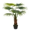 Plante Artificielle Feuille De Palmier 2 Plante Artificielle Feuille De Palmier -Komar Boutique 2d3330e497d5462787b53608d4d34e9d.cropped 263 470 2329 2484.processed