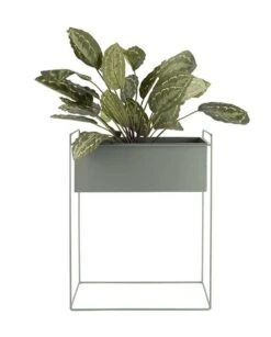 PRESENT TIME Décoration De Jardin Essence -Komar Boutique 3160b5a7f12a4a4e94f74f1eadebf436.cropped 317 178 1315 1635.processed