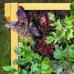 Carré Potager Sur Pied En Bois -Komar Boutique 35131d701f824ec5a3e95a9993a1b507