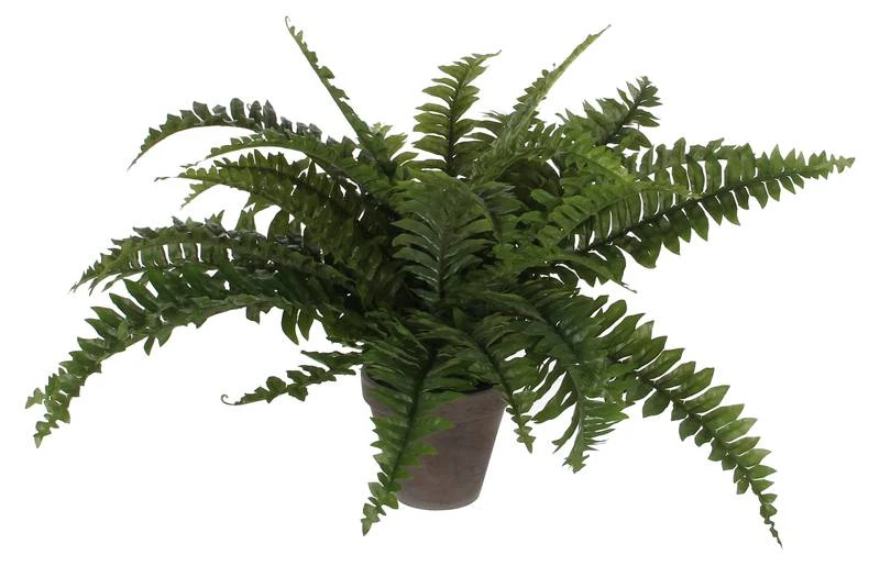 Plante Artificielle Boston Farn 3 Plante Artificielle Boston Farn