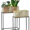 Lot 2 Supports De Plantes Anderlues -Komar Boutique 35a54bb828a7441787fe71310bdc0d15.cropped 246 26 1508 1953.processed