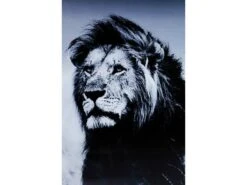 Tableau Déco Lion King Standing -Komar Boutique 35c84845762a400e9c91f38fb233a80c