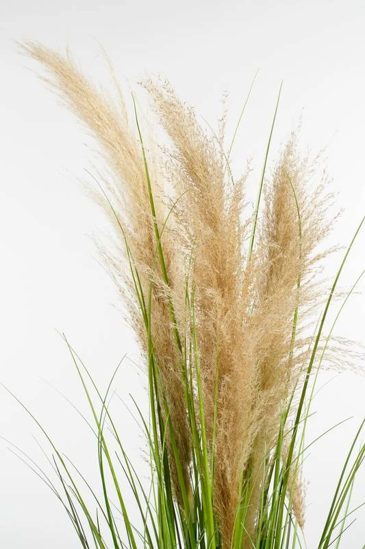 Herbe De La Pampa Plante Artificielle 4 Herbe De La Pampa Plante Artificielle – Image 2