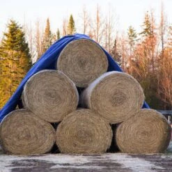 Komar Boutique -Komar Boutique 49e4acce69fb418a8b4c7a554029a66e 2