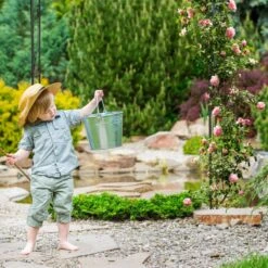 Arche à Rosiers Noire -Komar Boutique 504f1293042e4c92aff98d3a955de6a2