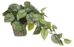 Plante Artificielle Scindapsus