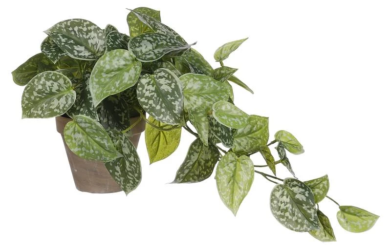 Plante Artificielle Scindapsus 3 Plante Artificielle Scindapsus