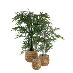 Plante Artificielle Bambou 13 Plante Artificielle Bambou -Komar Boutique 5e283ad21e764955a6cf63614b9045bf