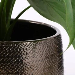 Pot De Fleurs Gabriel -Komar Boutique 611faf6bba1744858e0fa3da51d0173d