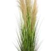 Herbe De La Pampa Plante Artificielle -Komar Boutique 6f3ee2e2e4f74b2087e28f8606b269d3.cropped 672 210 1448 2744.processed