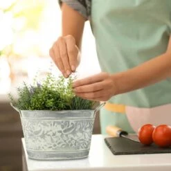 Jardinière En Zinc En Lot De 3 -Komar Boutique 704de5dd09214dee887b87a5ba0f35a6