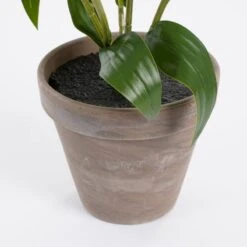 Plante Artificielle Tigerlilien 13 Plante Artificielle Tigerlilien -Komar Boutique 7314d54c48034fddbad7291dde6afa0b