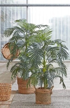 Plante Artificielle Palmier D'Areca 11 Plante Artificielle Palmier D'Areca -Komar Boutique 75aa78cf850f4bf7a3589414b1d55859