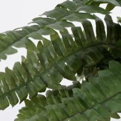 Plante Artificielle Boston Farn 11 Plante Artificielle Boston Farn -Komar Boutique 7841af3dc228404d8f2a2471cd7553be