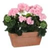 Plante Artificielle Geranien -Komar Boutique 8078abcb9acc417281576ea7f61b7762.cropped 483 1165 1889 1789.processed