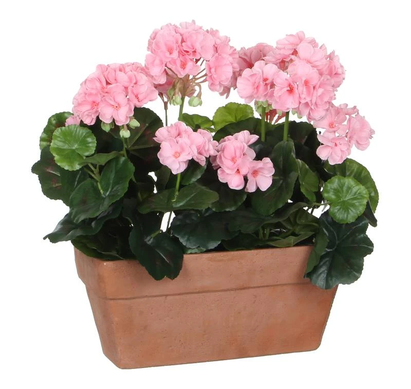 Plante Artificielle Geranien 3 Plante Artificielle Geranien