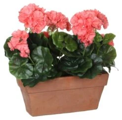 Plante Artificielle Geranien 27 Plante Artificielle Geranien -Komar Boutique 815b22dae30249258a24daff634f6745.cropped 652 1291 1645 1620.processed